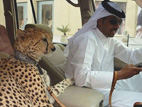 سبر أغوار حياة الأثرياء الخليجيين المدهشة 