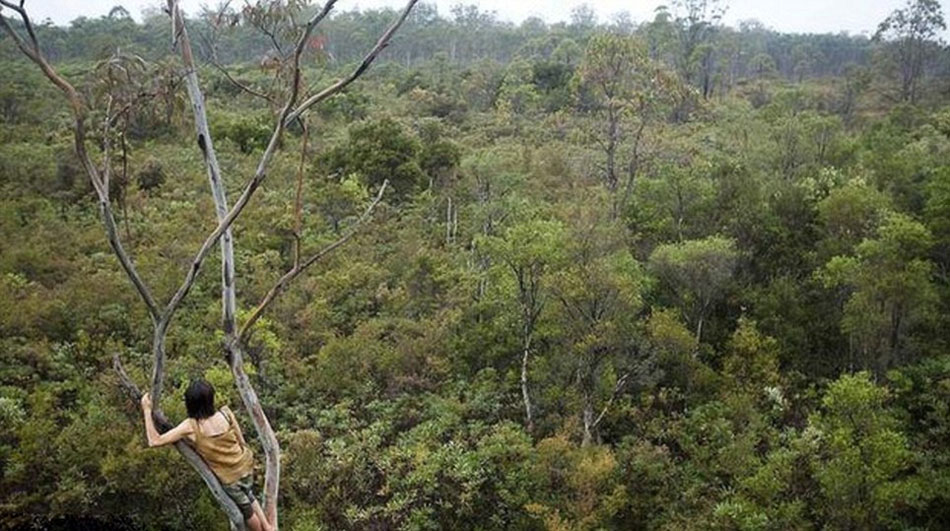 امرأة بأستراليا تعيش وحدها في الأدغال وتفترس الحيوانات البرية 