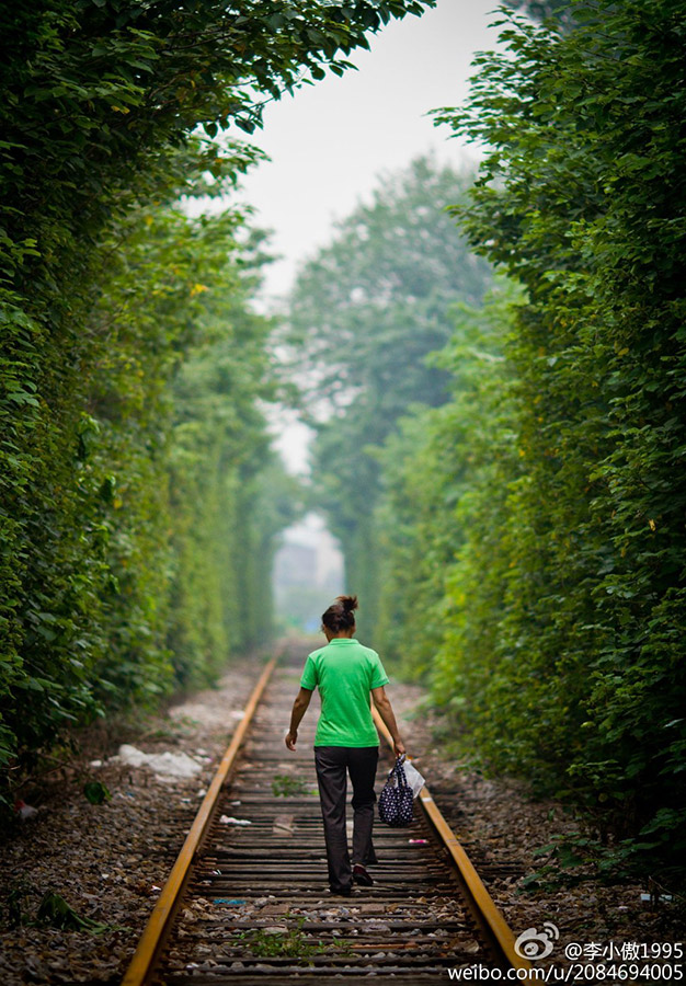 صور:"أجمل سكة حديد "فى مدينة نانجينغ الصينية    