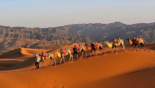 نينغشيا الصينية تسعى إلى بناء وجهة سياحية دولية على حزام "طريق الحرير" الاقتصادي