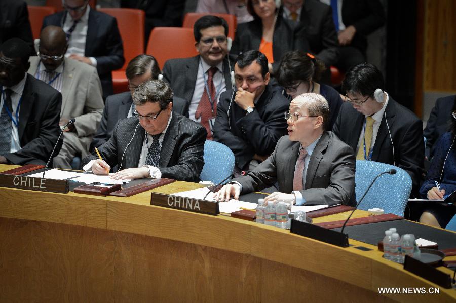 مجلس الأمن الدولي يدعو إلى تحقيق شامل فى حادث الطائرة الماليزية