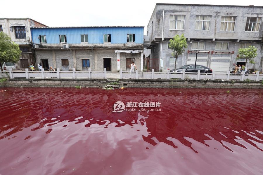 ظهور مفاجئ لنهر من الدم يثير الرعب في الصين    