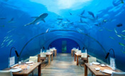 أجمل 7 المطاعم تحت الماء في العالم