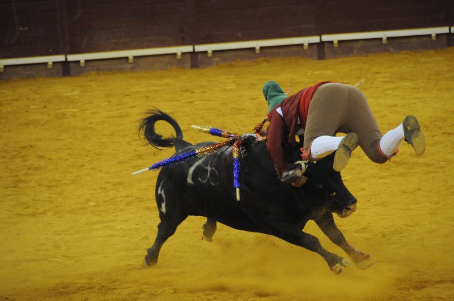 خصائص مصارعة الثيران في البرتغال 