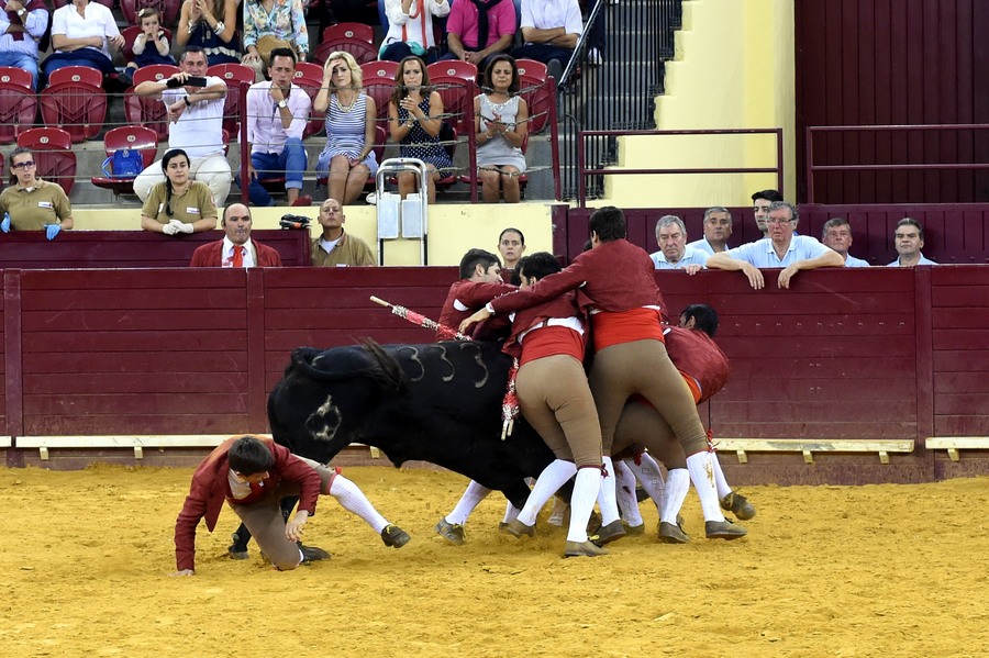خصائص مصارعة الثيران في البرتغال 