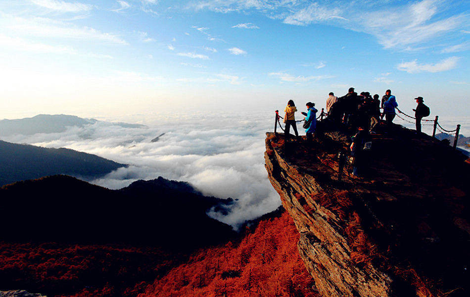 مدى رضا السياح عن المنطقة السياحية لجبل تايباي كبير    