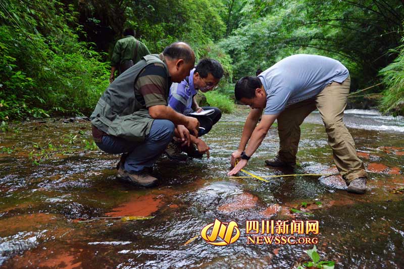 العثور على آثار أقدام  ديناصورات تعود إلى مئة مليون سنة في الصين