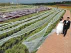 طلب ادراج فستان الزفاف الصيني بطول 4100 متر على قائمة غينيس