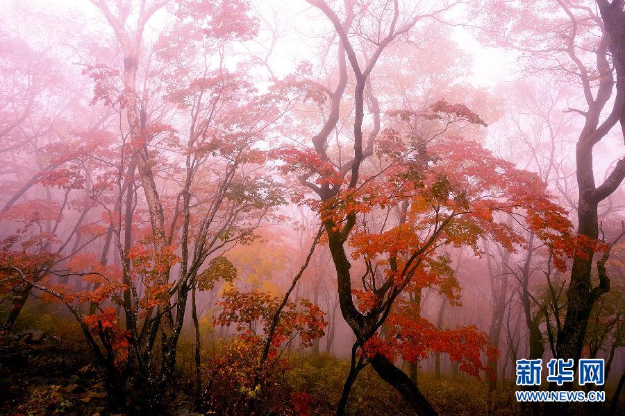 حكاية الخريف: المناظر الجميلة في الصين عند الخريف