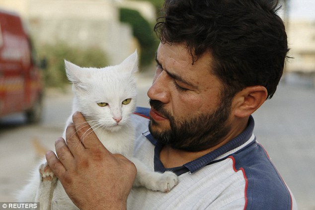 وسط أهوال الحرب.. سوري يطعم 150 قطا مشردا في حلب