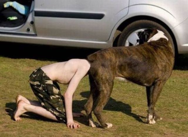 المواقف الظريفة للكلاب عند التقاط الصور 