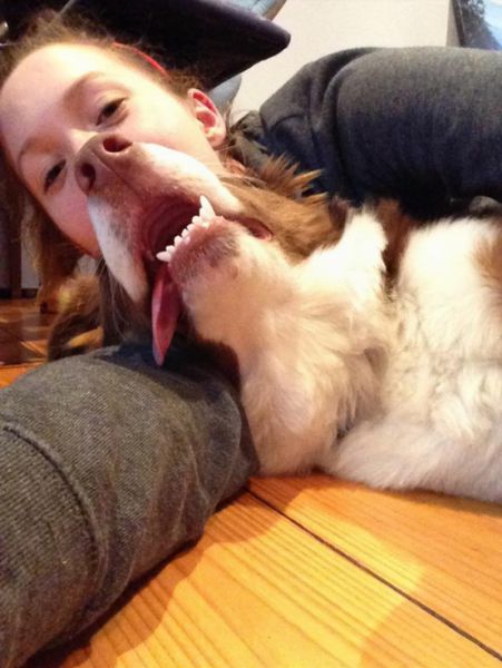 المواقف الظريفة للكلاب عند التقاط الصور 