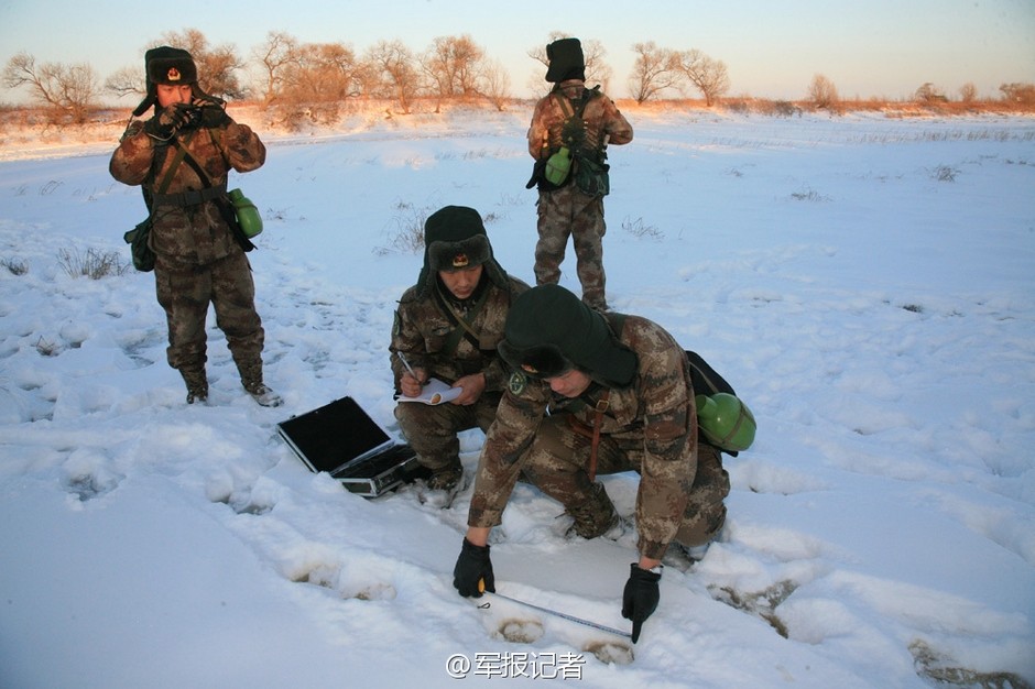 جنود صينيون عثروا على النمر السيبيري "كوزيا" الذي أطلقه بوتين 