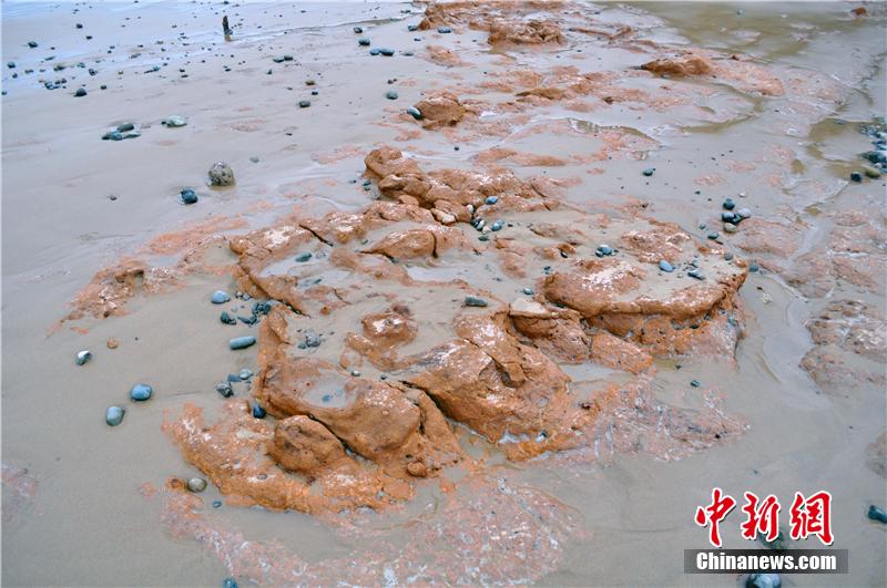 ظهور شاطئ رملي نادر من الدم يثير الاهتمام في الصين