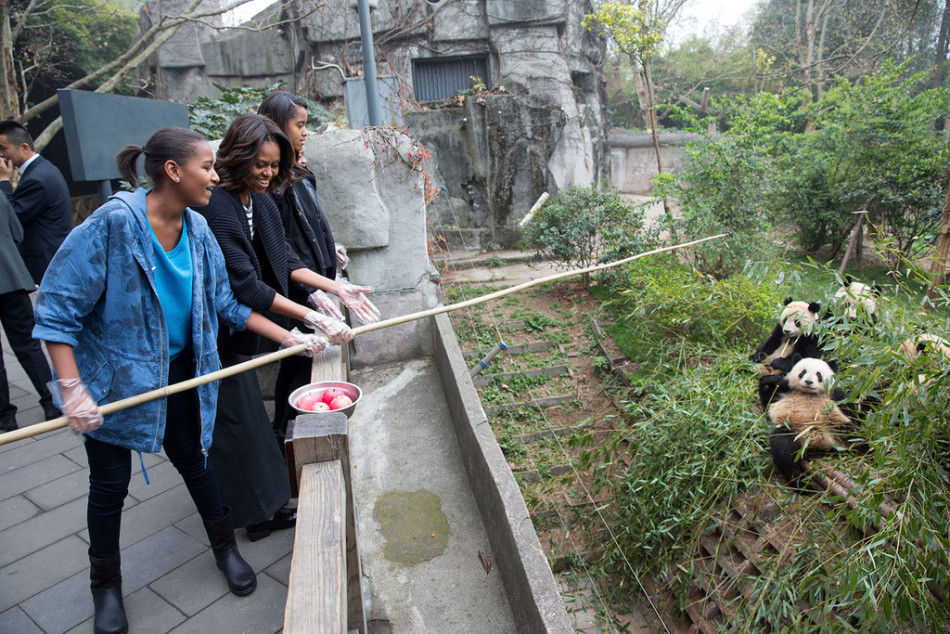 وفي 26 مارس 2014، قامت زوجة الرئيس الأمريكي ميشيل أوباما خلال زيارتها إلى الصين، بزيارة إلى قاعدة تربية الباندا بتشنغدو.