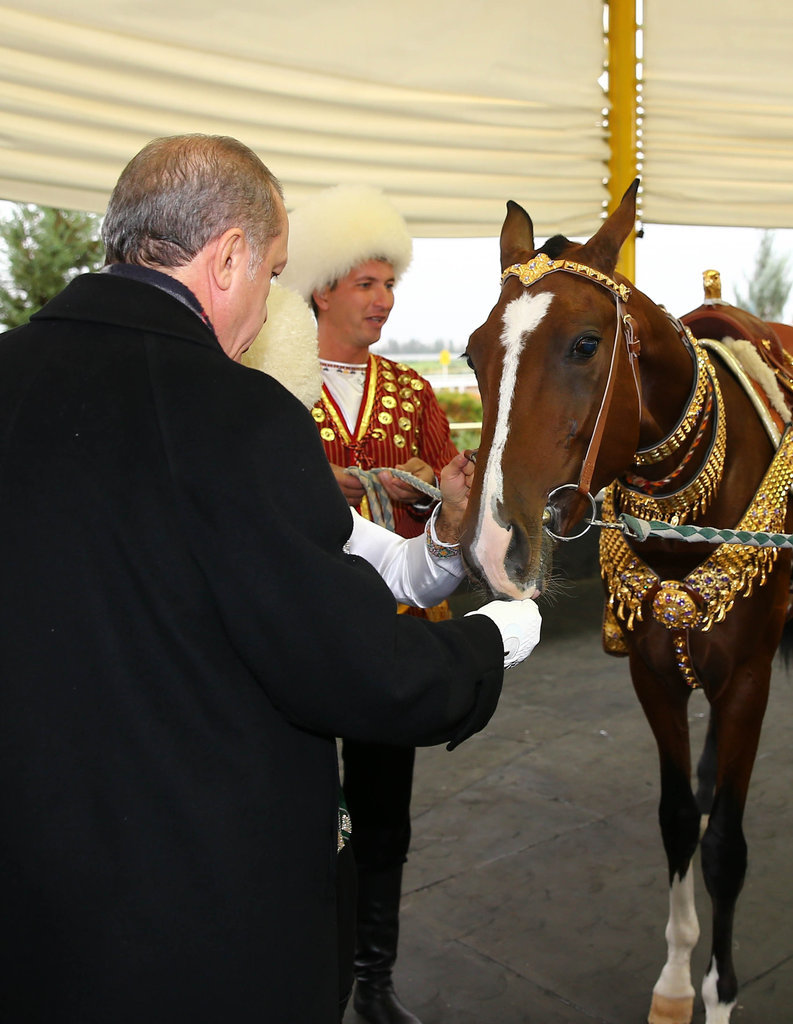 في 7 نوفمبر الجاري، قام الرئيس التركماني قربان قولي بردي محمدوفبإهداء حصان الفرغانة إلى الرئيس التركي رجب طيب اردوغان .