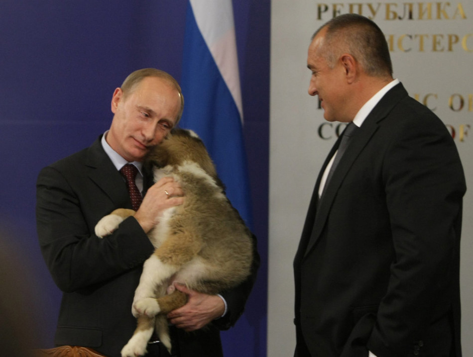 في 13 نوفمبر 2010، أثناء زيارته إلى العاصمة البلغارية سوفيا، إلتقى بوتين الرئيس البلغاري بوريسوف، حاملا الكلب الذهي أهداه له بوريسوف.