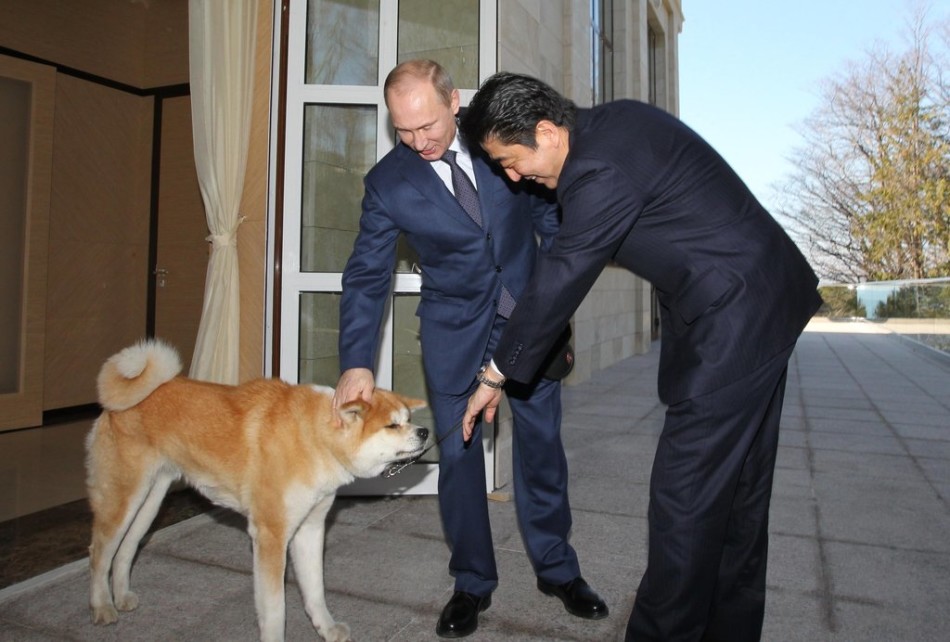 في 8 فبراير 2014، إصطحب الرئيس الروسي بوتين كلبه يومي لمقابلة رئيس الوزراء الياباني آبي في سوتشي. وكان آبي قد أهدى يومي إلى بوتين في يوليو 2008.