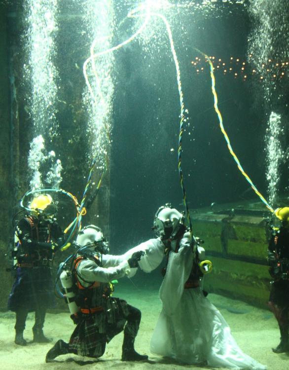 حفل زفاف تحت الماء الأكثر رومانسية في العالم