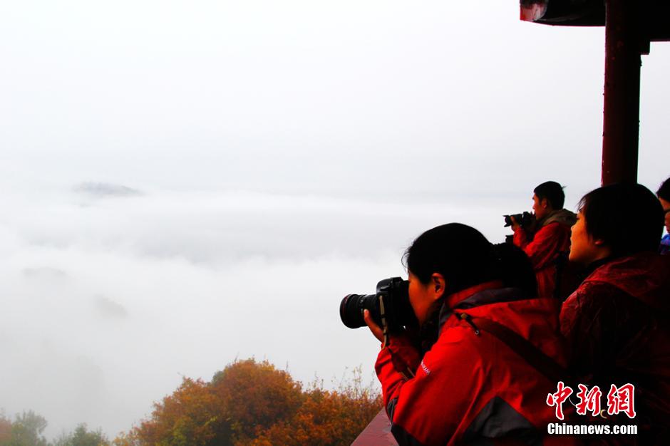 جمال لا ينسي للجبال والسحاب في منطقة تشانغجياجيه السياحية بعد المطر