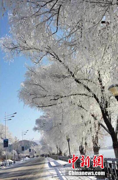 ساحرة جدا..ظهور مناظر ضباب الصقيع في  جيلين