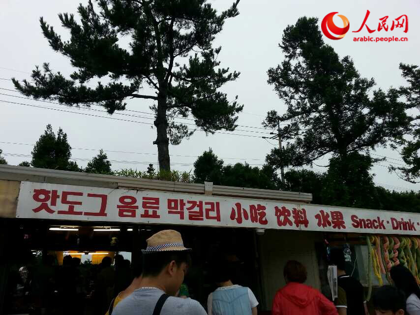 جزيرة جيجو الساحرية فى كوريا الجنوبية