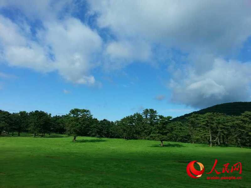 جزيرة جيجو الساحرية فى كوريا الجنوبية