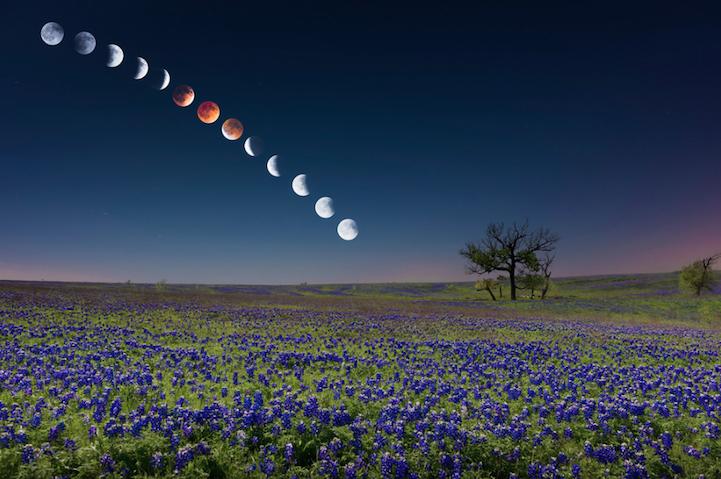 أروع 37 صورة في العالم خلال عام 2014