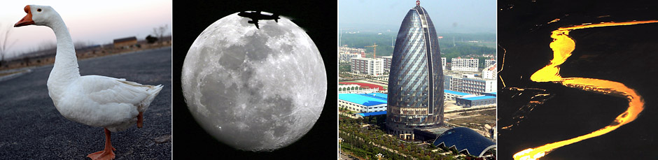 مرحبا يا عام 2015!