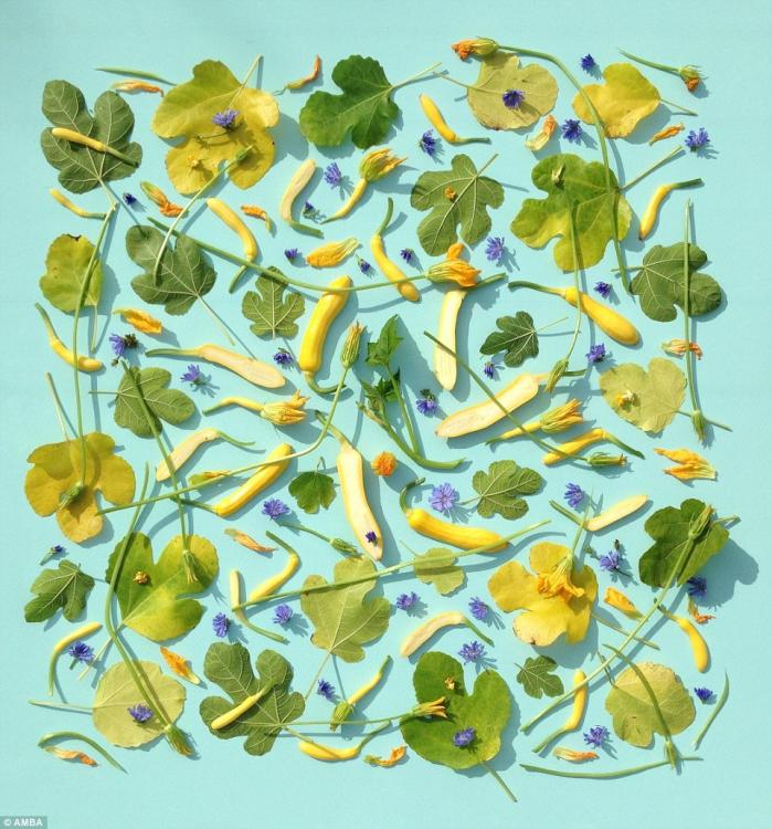 فنانة بريطانية تبدع رسوما جميلة بالخضروات والفواكه