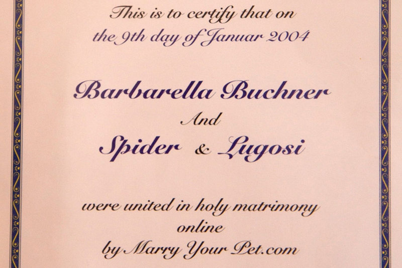 بريطانية تتزوج قطتين وتؤكد انهما أفضل من الرجال