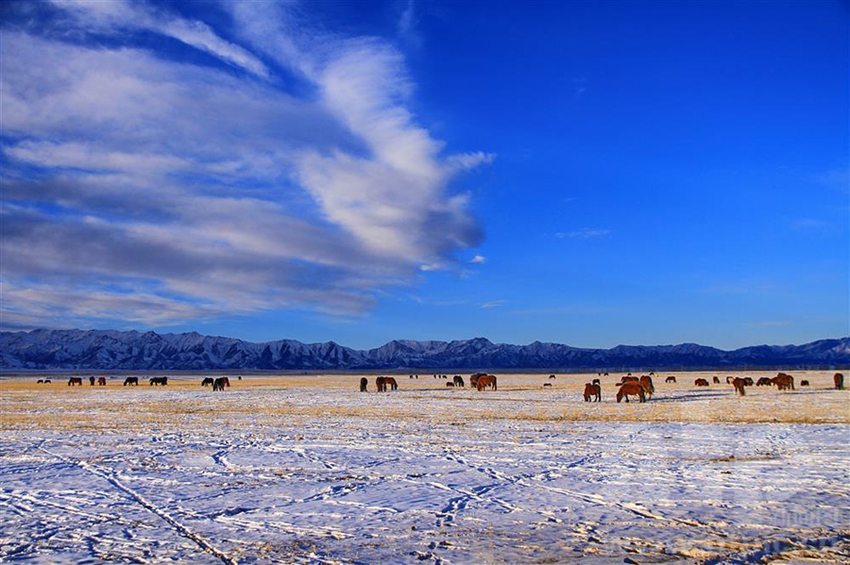 مراعي شاندان تكتسي بالأبيض