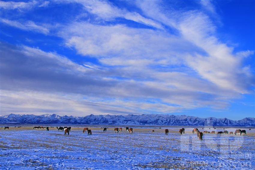 مراعي شاندان تكتسي بالأبيض