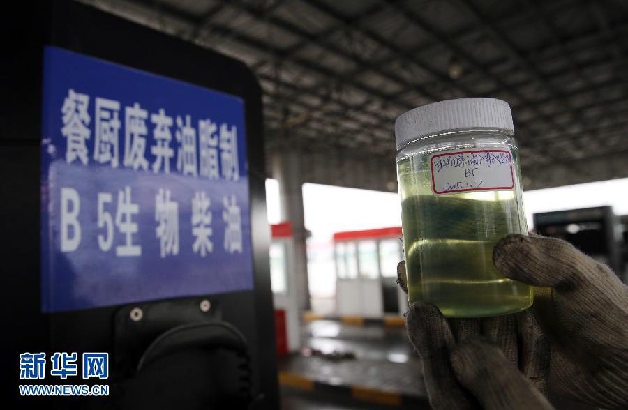 مائة حافلة في شانغهاي تستخدم زيوت الطهي كوقود