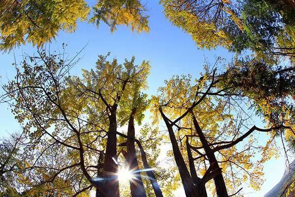 مدينة نانشيونغ بمقاطعة قوانغدونغ 