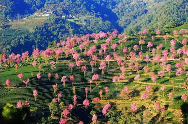  بلدة نانجيان بمقاطعة يوننان