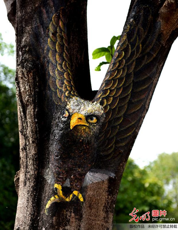 رسومات نابضة بالحياة تزين جذوع أشجار في جنوب غرب الصين