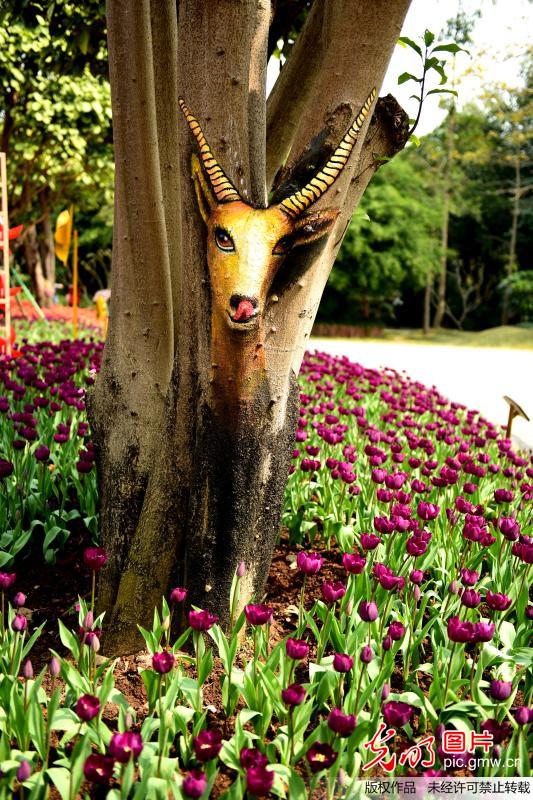 رسومات نابضة بالحياة تزين جذوع أشجار في جنوب غرب الصين