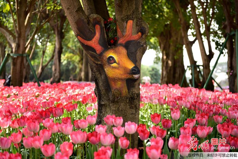 رسومات نابضة بالحياة تزين جذوع أشجار في جنوب غرب الصين