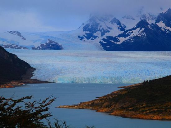 الدومينيكان