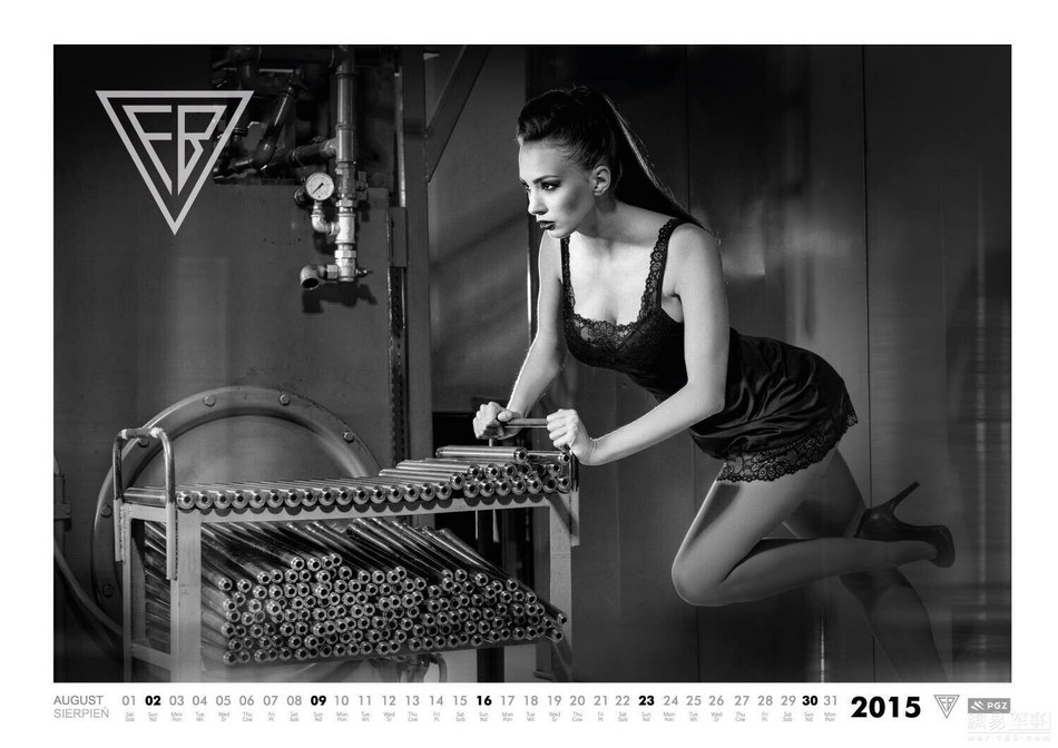 حسناوات يستعرضن "قدرات" الجيش البولندي