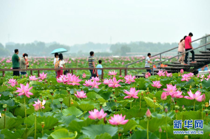 عدد السياح المحليين فى الصين بلغ 3.61 مليار شخص/مرة فى عام 2014