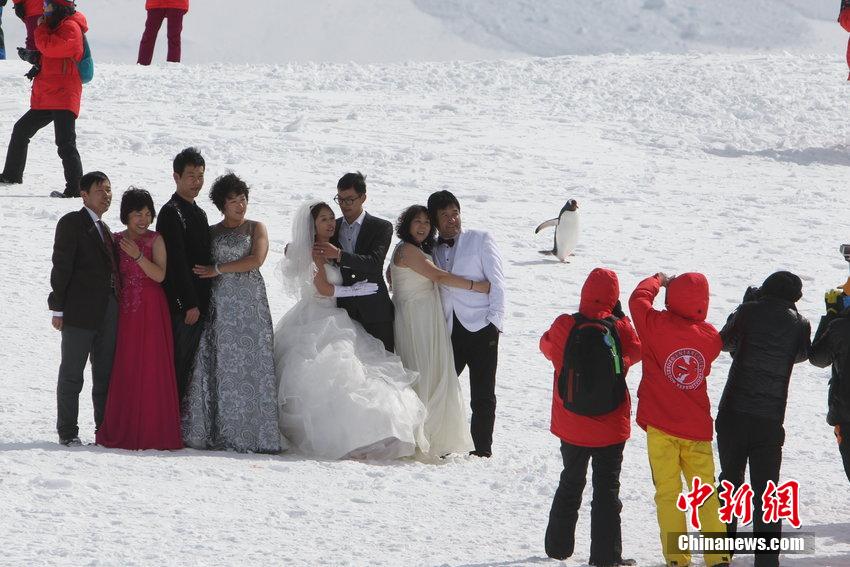 يهبط السياح الصينيون في ميناء ميكسون بالقطب الجنوبي بقيادة وكالة سفر صينية في 11 نوفمبر عام 2014،  حيث يقومون بالمغامرة والتقاط صور الزفاف.