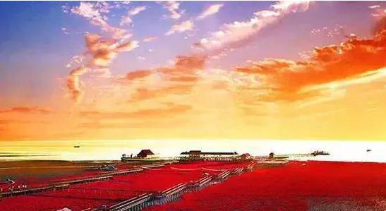 الساحل الأحمر في مقاطعة لياونينغ 