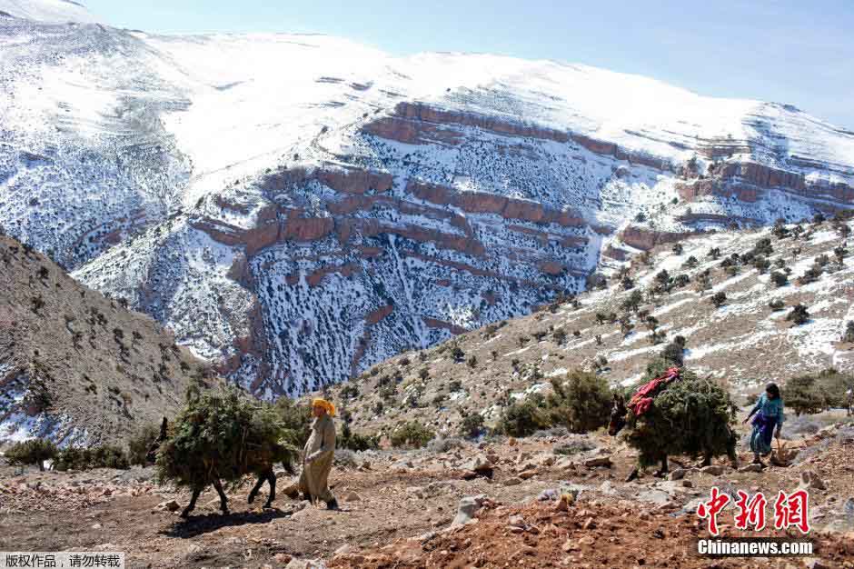 قصة بالصور:  المغربيون الذين يعيشون على قمم الجبال الثلجية