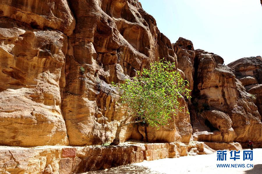 "المدينة الوردية".. مدينة البتراء القديمة في الأردن