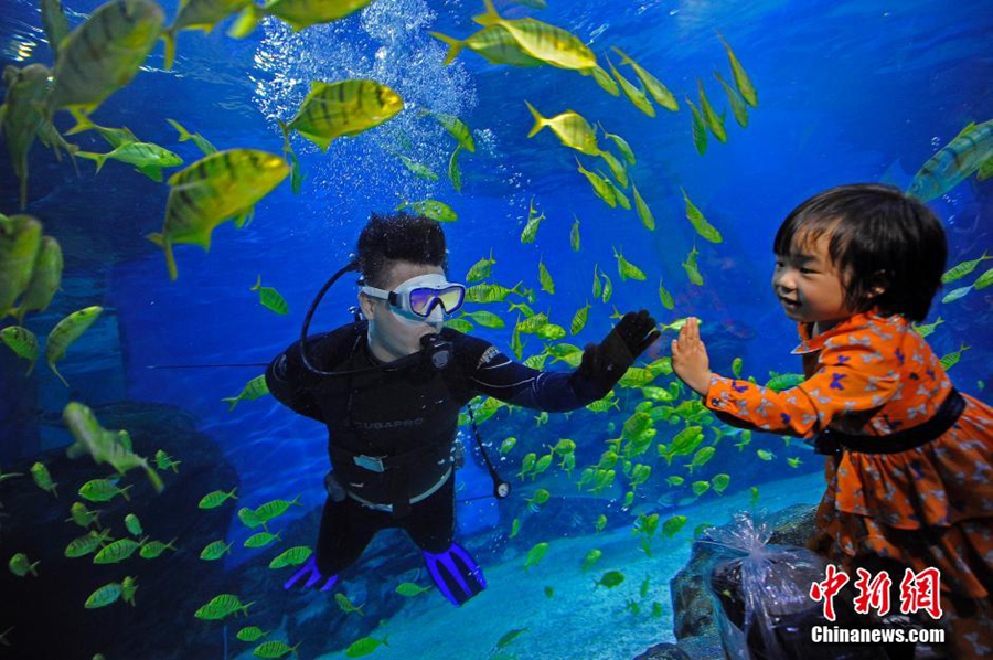 زوار لمدينة تيانجين يقضون ليلة مع أسماك