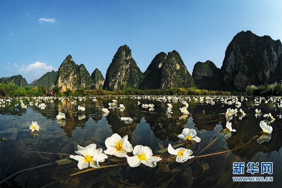 صور..ما أروع وأجمل الطبيعة فى الصين!