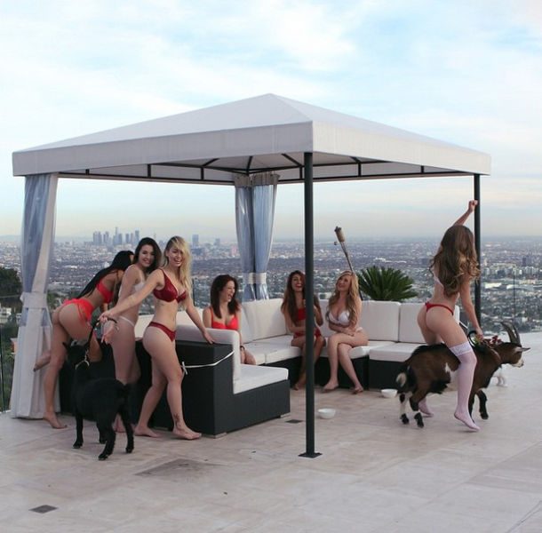 ثري ايراني يتفاخر بثروته على الإنترنت