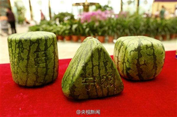 بطيخ على شكل قلب ومثلث تظهر في جيانغسو